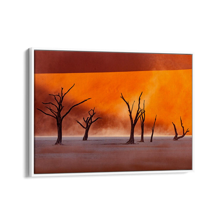 NAMIBIA - THE SPIRIT OF WILDERNESS II , PHOTOGRAPHY PRINTS