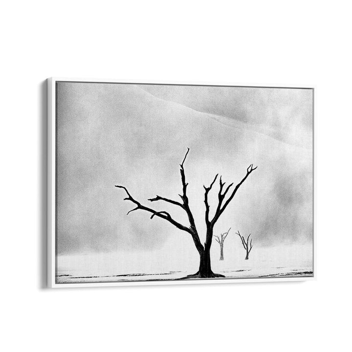 NAMIBIA - THE SPIRIT OF WILDERNESS I , PHOTOGRAPHY PRINTS