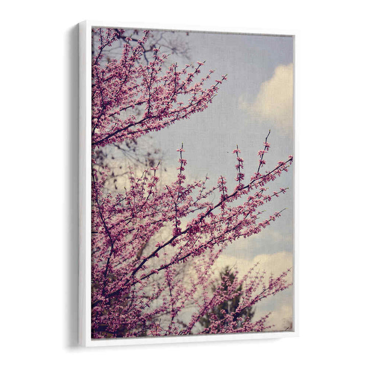 SPRING PHOTOGRAPH , FLORAL FLOWER PAINTINGS
