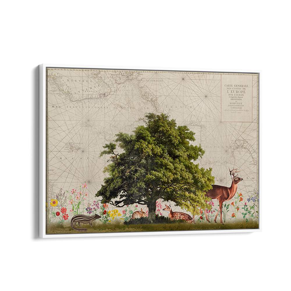 Explore the enchanting NORDIC WOODS II, ANIMAL PAINTINGS by Andrea Haase, showcasing serene woodland wildlife scenes.