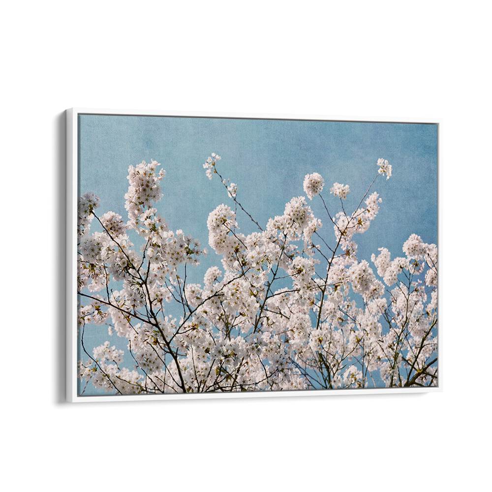 Stunning BLUE SKY BLOSSOMS, FLORAL FLOWER PAINTINGS showcasing blooming flowers against a serene blue sky backdrop.