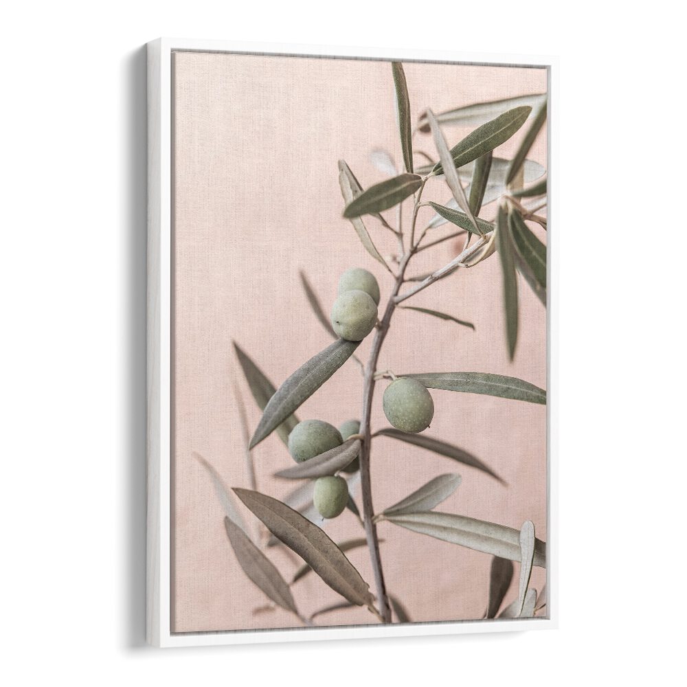Elegant OLIVES, FLORAL FLOWER PAINTINGS showcase handpicked olives against a soft backdrop, perfect for home decor.