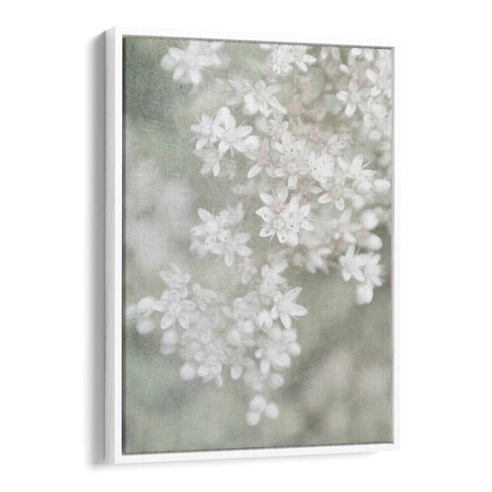 FADING, FLORAL FLOWER PAINTINGS showcase delicate white blooms, adding elegance to any decor with dreamy artistry.