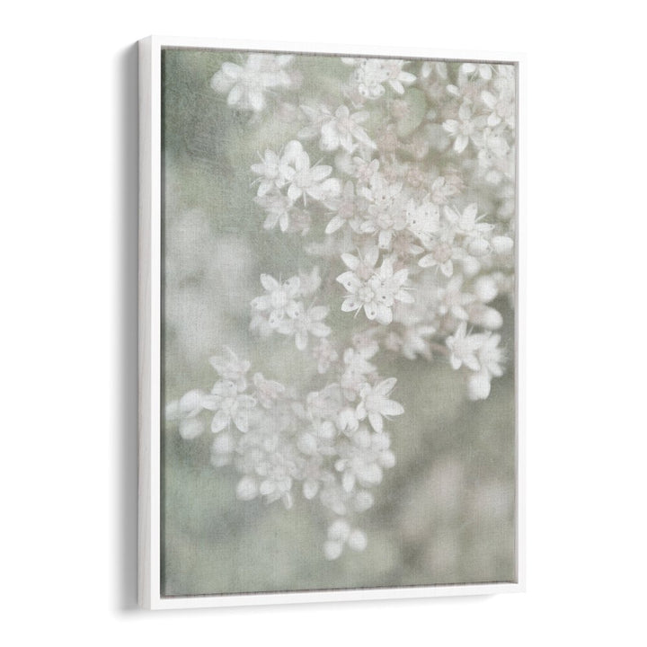 FADING, FLORAL FLOWER PAINTINGS showcase delicate white blooms, adding elegance to any decor with dreamy artistry.