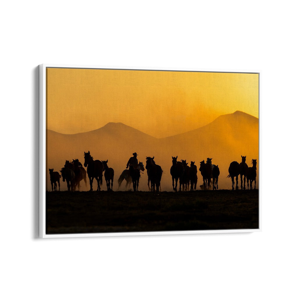 Stunning AS THE SUN GOES DOWN, PHOTOGRAPHY PRINTS capturing wild horses in golden dusk light for nature lovers.