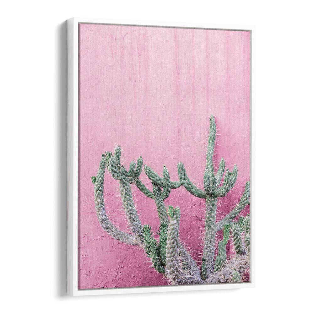 Brighten your space with the CACTUS ON PINK, FLORAL FLOWER PAINTINGS, featuring a vibrant cactus on a soft pink backdrop.
