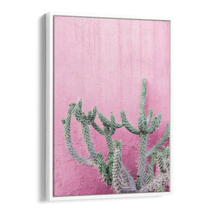 Brighten your space with the CACTUS ON PINK, FLORAL FLOWER PAINTINGS, featuring a vibrant cactus on a soft pink backdrop.