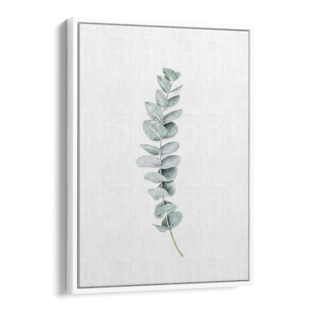 EUCALYPTUS II, FLORAL FLOWER PAINTINGS showcase calming eucalyptus leaves, perfect for a serene home atmosphere.