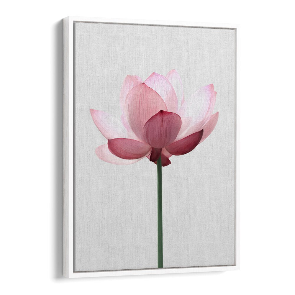 Stunning LOTUS FLOWER, FLORAL FLOWER PAINTINGS bring elegance and tranquility to your space with serene beauty.