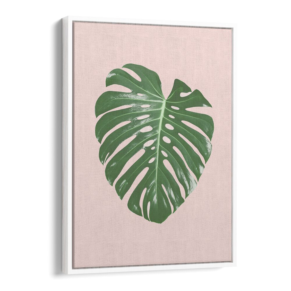Stylish MONSTERA LEAF BLUSH, FLORAL FLOWER PAINTINGS showcasing tropical elegance for your home or office decor.