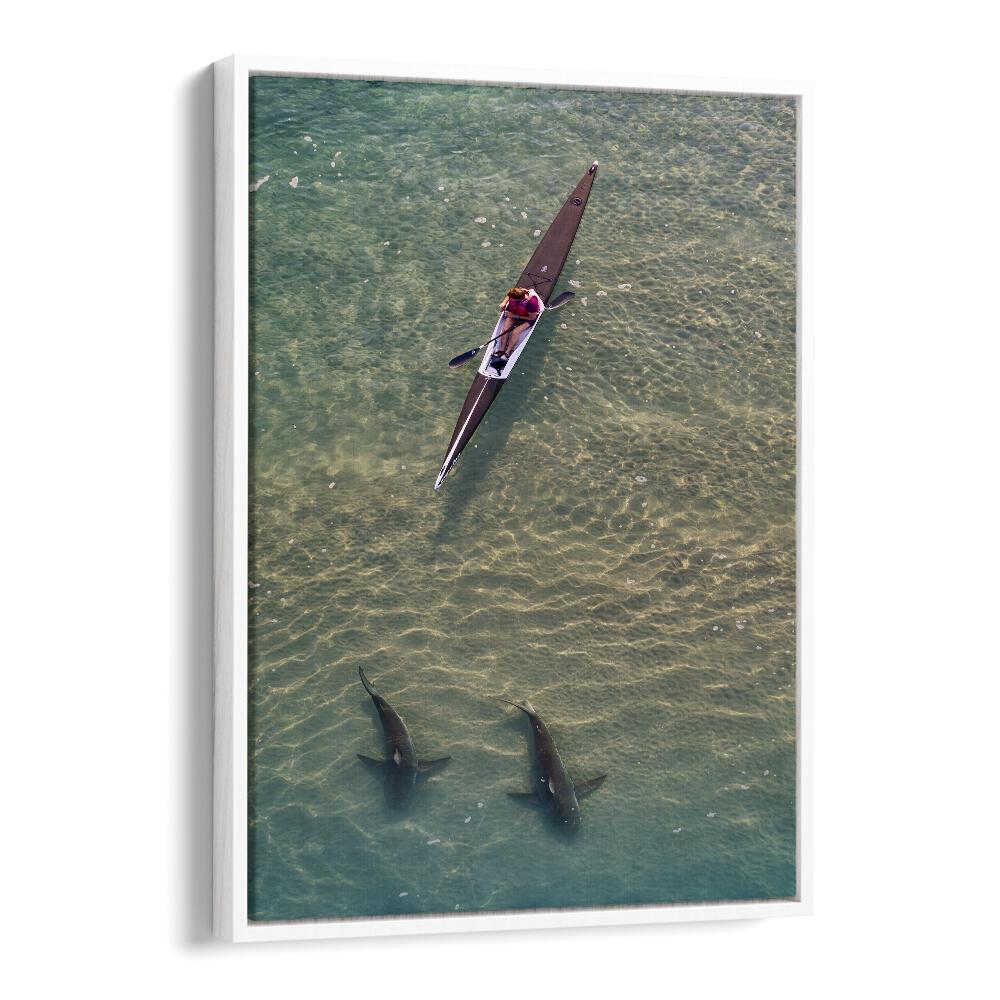 Kayaker gliding above sharks in clear water, showcasing SHARKS COMPANION, PHOTOGRAPHY PRINTS for ocean lovers.