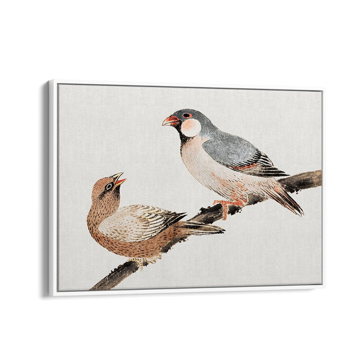 BIRDS FROM ALBUM OF SKETCHES (1814) , VINTAGE PAINTINGS