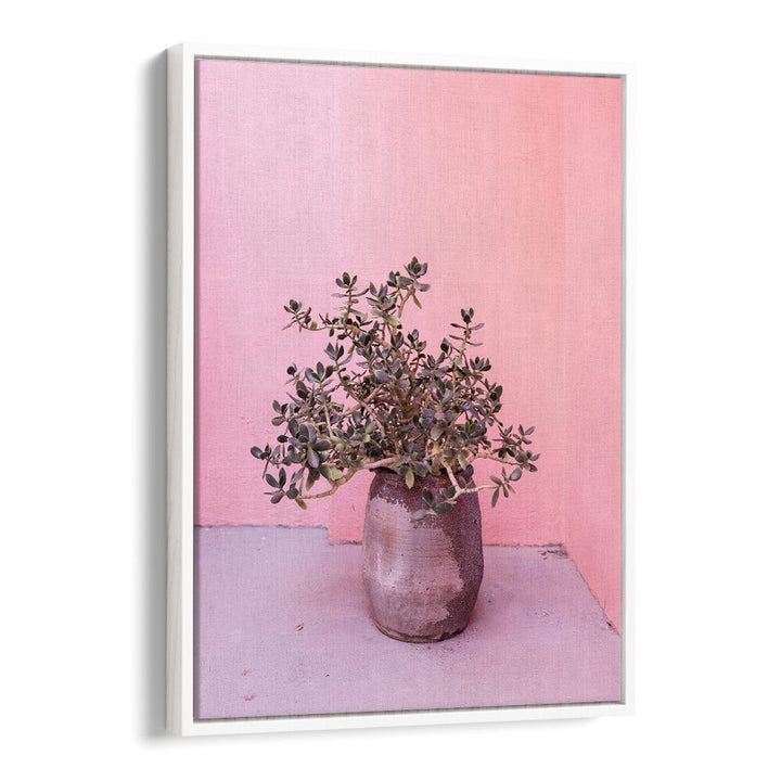 Elegant SPANISH RUSTIC SUCCULENT in a stylish pot, perfect for enhancing floral flower paintings in any setting.