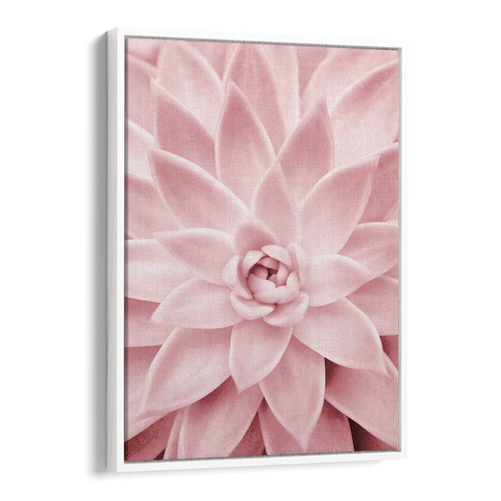 Stunning PINK SUCCULENT, FLORAL FLOWER PAINTINGS enhance any decor with beauty and low-maintenance charm.