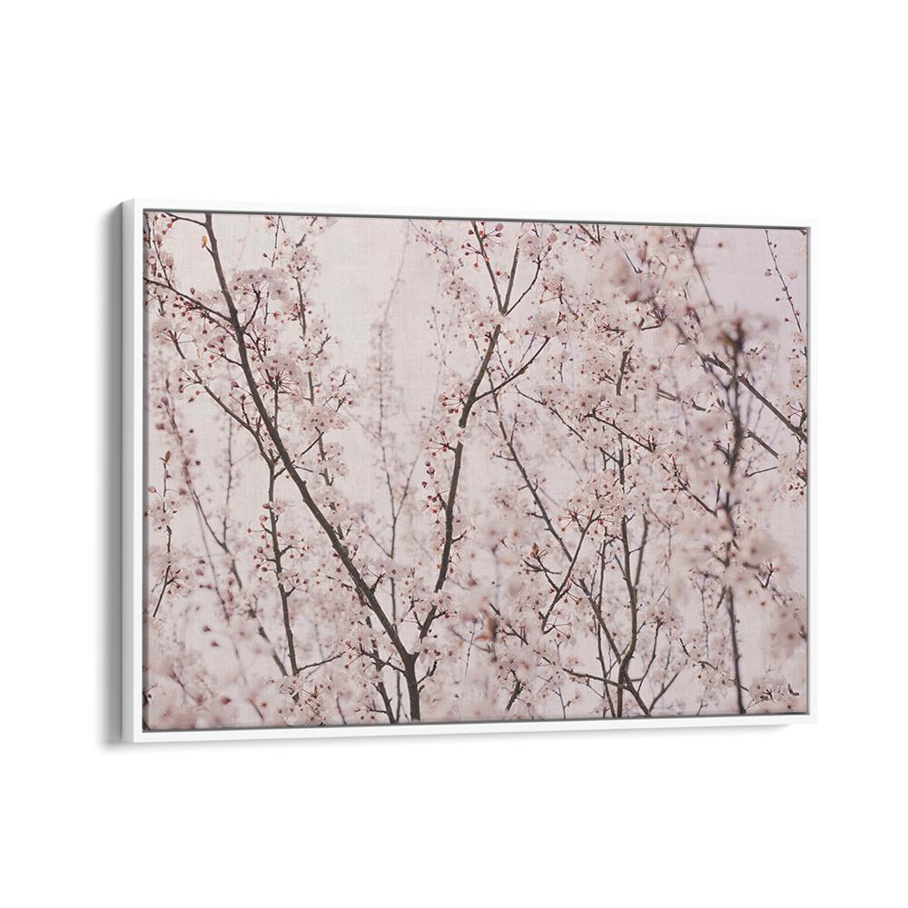 Delicate SPRING BLOSSOMS in floral flower paintings, capturing nature's beauty for your vibrant home decor.