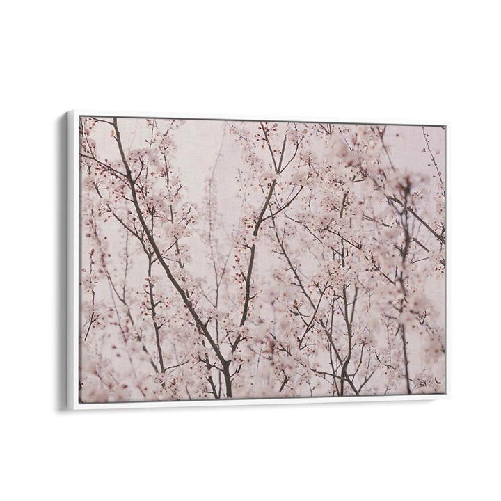 Delicate SPRING BLOSSOMS in floral flower paintings, capturing nature's beauty for your vibrant home decor.
