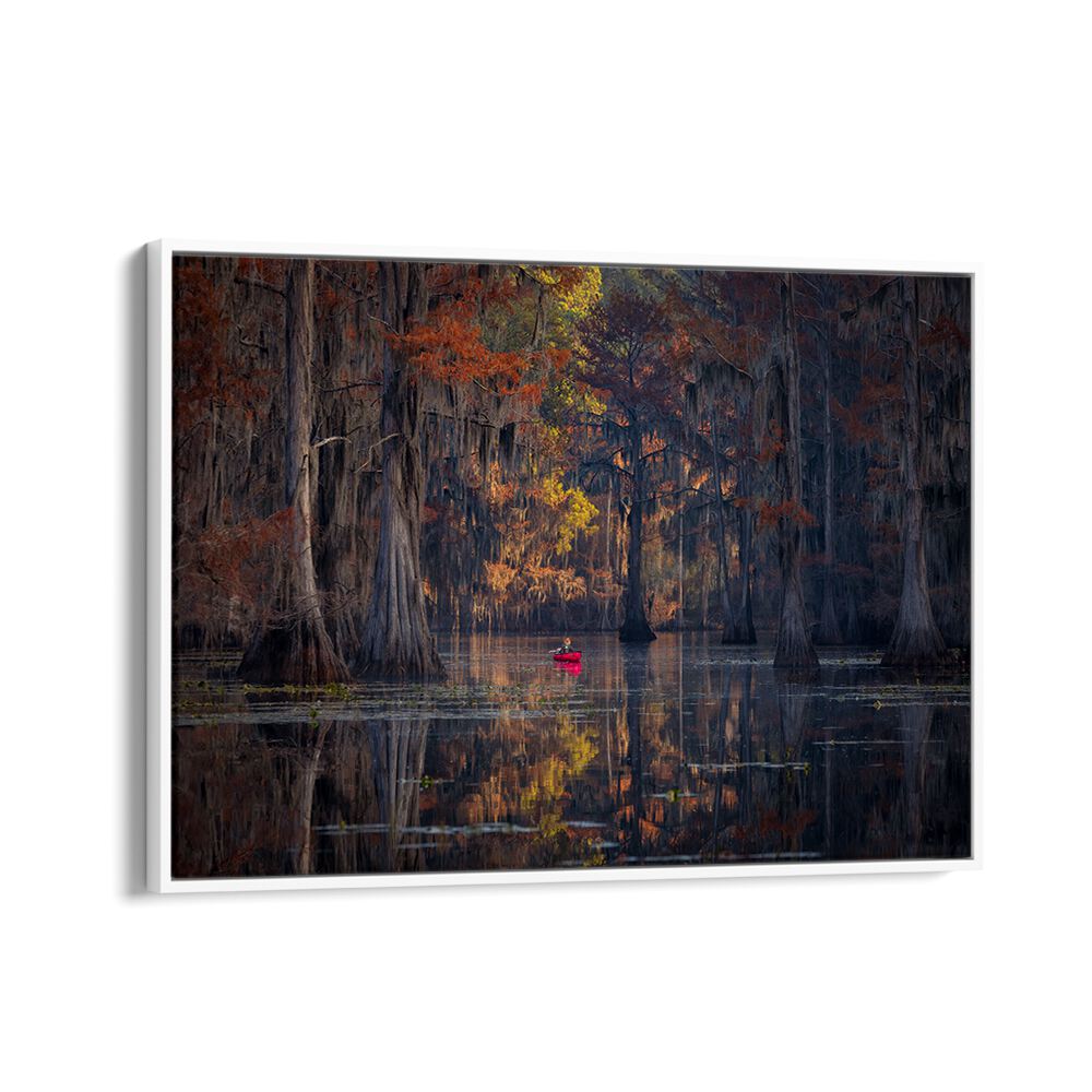 Serene Caddo Lake 2023 landscape with vibrant trees reflected in calm waters, perfect for CADDO LAKE 2023, PHOTOGRAPHY PRINTS.