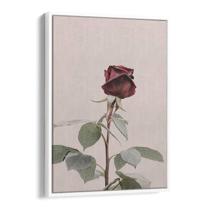 Elegant ROSE, FLORAL FLOWER PAINTINGS, perfect for enhancing your home decor with charm and beauty.