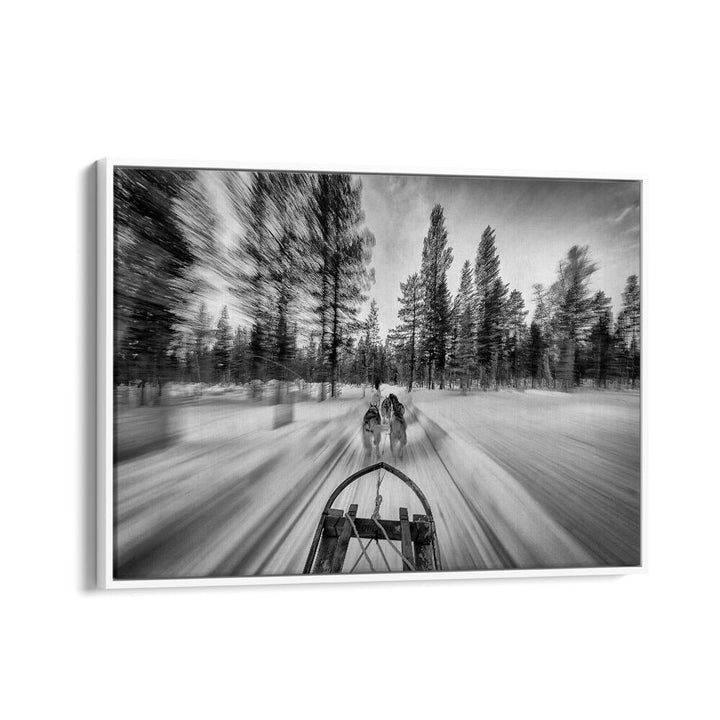Experience the thrill of DOGSLEDDING, PHOTOGRAPHY PRINTS capturing fast-paced action in a snowy wilderness.