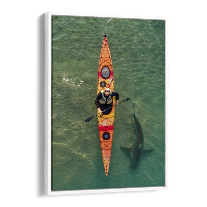 Kayaker glides above a shark in clear waters, showcasing the INTIMATE SHARK ENCOUNTER, PHOTOGRAPHY PRINTS collection.