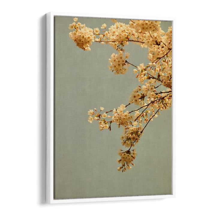 Spring Morning, Floral Flower Paintings showcase delicate blossoms against a soft background, evoking nature's beauty.