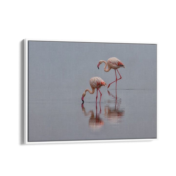 Stunning FLAMINGOS, PHOTOGRAPHY PRINTS showcase graceful birds wading in a tranquil landscape, perfect for nature lovers.