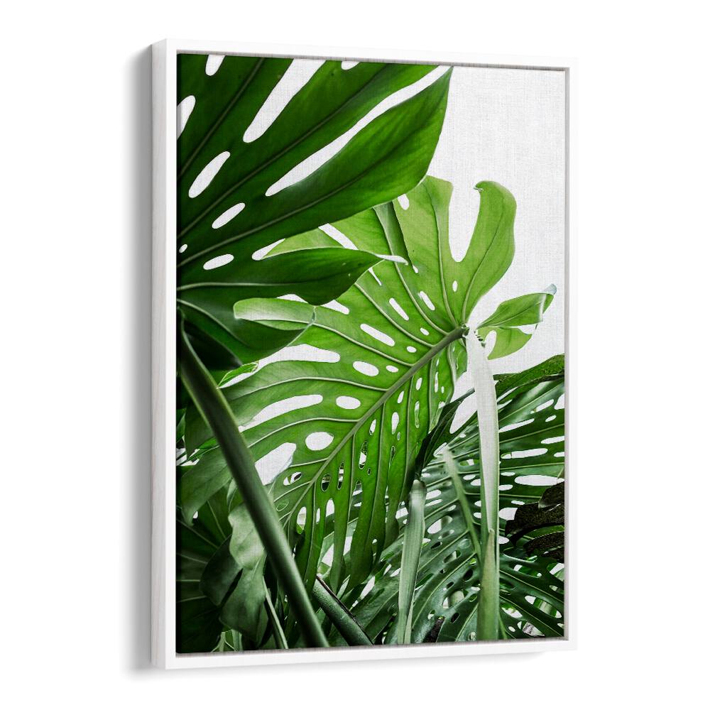 Lush green leaves highlight the JUNGLE, FLORAL FLOWER PAINTINGS, bringing nature’s beauty into your space.