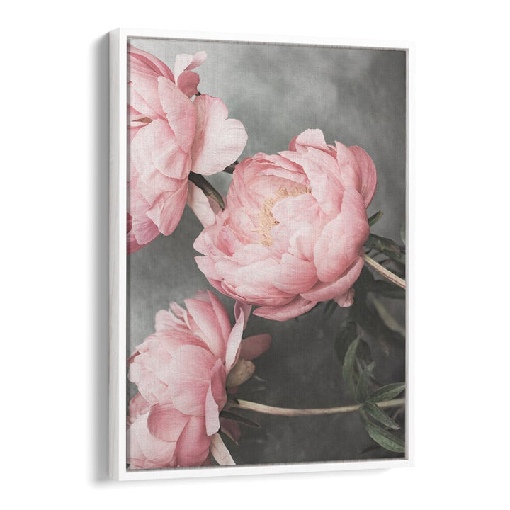 Delicate pink peonies in the ROSE II, FLORAL FLOWER PAINTINGS enhance any space with elegance and charm.