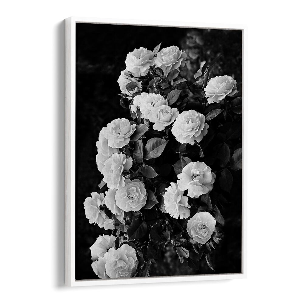 Elegant ROSE BUSH, FLORAL FLOWER PAINTINGS showcasing stunning blooms, perfect for transforming your garden.