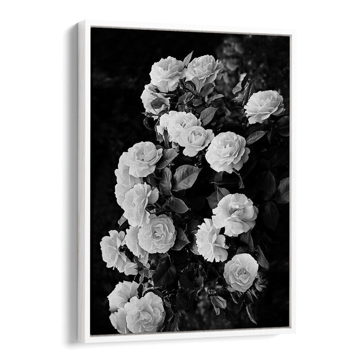 Elegant ROSE BUSH, FLORAL FLOWER PAINTINGS showcasing stunning blooms, perfect for transforming your garden.