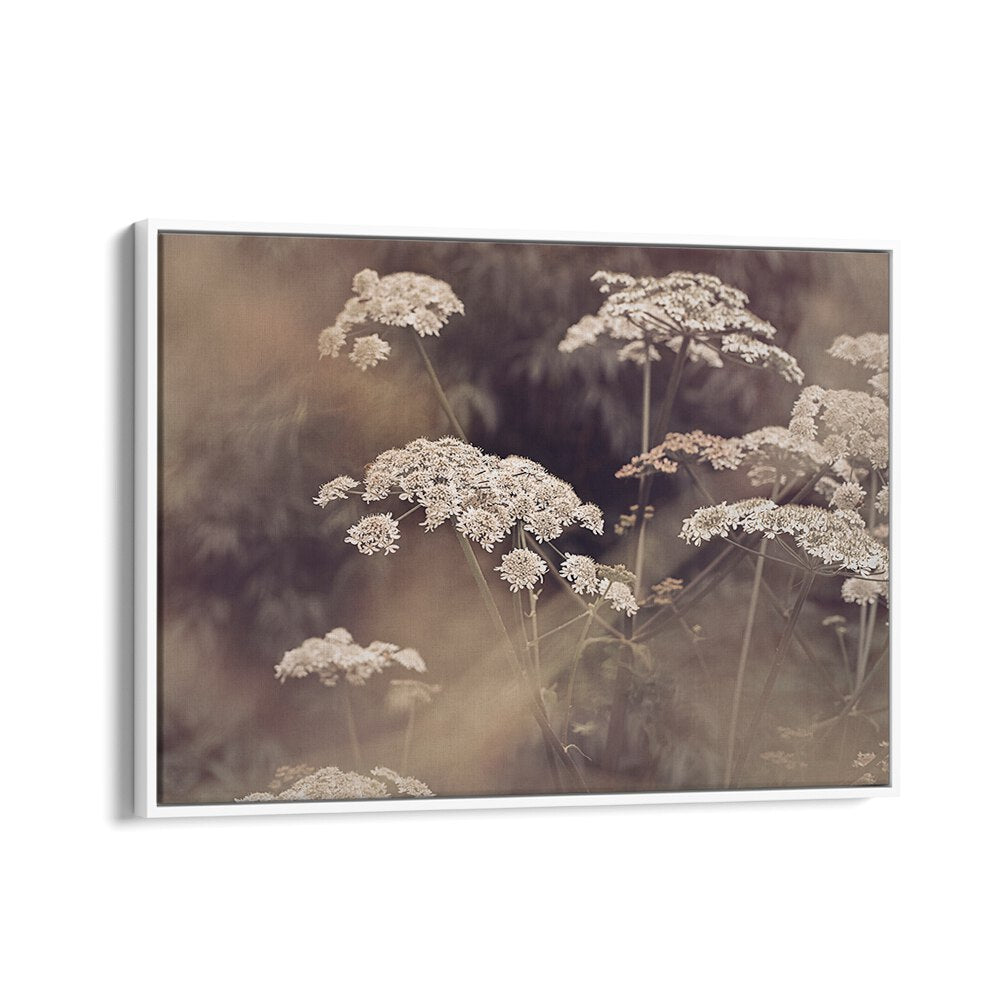 Delicate WILD PARSLEY blooms featured in elegant FLORAL FLOWER PAINTINGS, perfect for home decor.