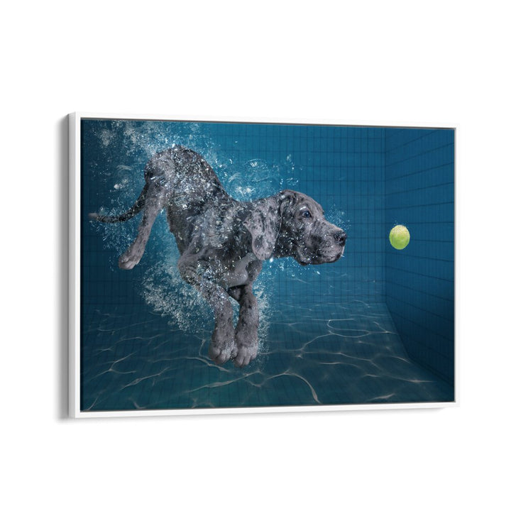 A playful dog dives underwater towards a tennis ball, showcasing SPLASH DOG, PHOTOGRAPHY PRINTS in vibrant detail.