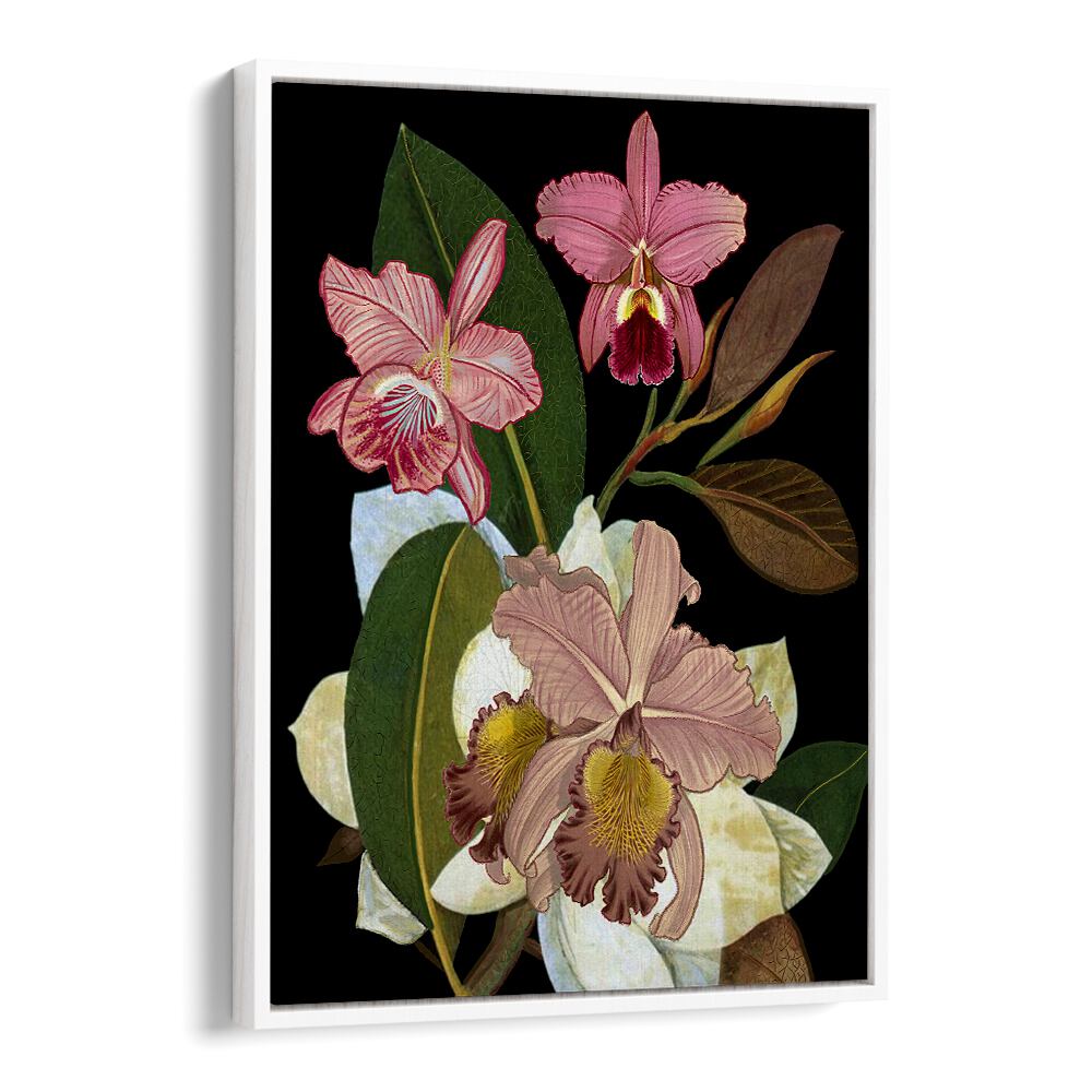 Stunning ORCHIDS II, FLORAL FLOWER PAINTINGS showcasing elegant blooms, perfect for enhancing your home decor.
