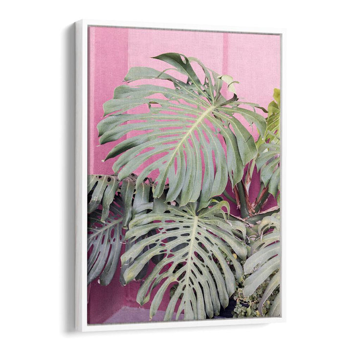 Stunning MONSTERA LEAF LA MURALLA, FLORAL FLOWER PAINTINGS, brings tropical beauty to your home decor.