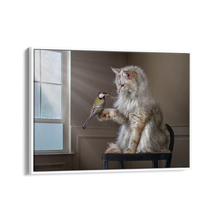 Surreal HELLO FRIEND, PHOTOGRAPHY PRINTS featuring a cat gently holding a bird, capturing whimsical creativity.