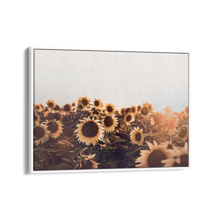 Vibrant SUNFLOWERS II, FLORAL FLOWER PAINTINGS brighten your space with warmth and positivity, perfect for any home decor.