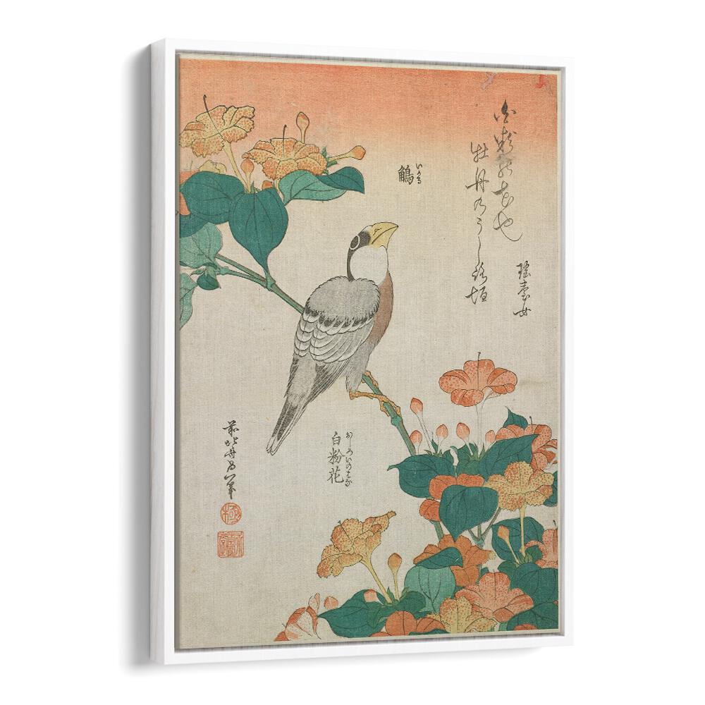 HAWFINCH AND MARVEL-OF-PERU , VINTAGE PAINTINGS