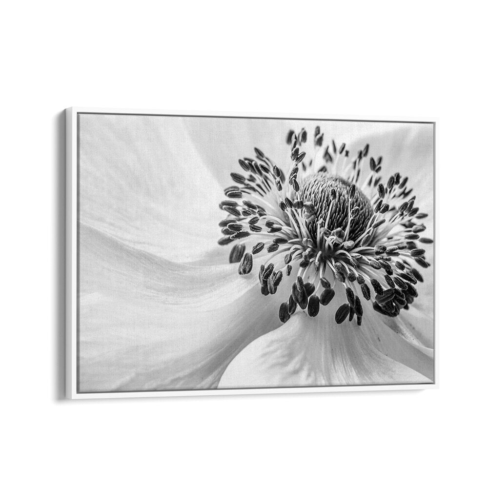 Elegant ANEMONE, FLORAL FLOWER PAINTINGS add sophistication to any space, enhancing your home's aesthetic beautifully.
