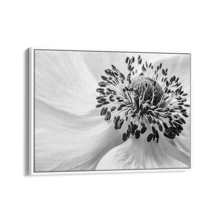 Elegant ANEMONE, FLORAL FLOWER PAINTINGS add sophistication to any space, enhancing your home's aesthetic beautifully.