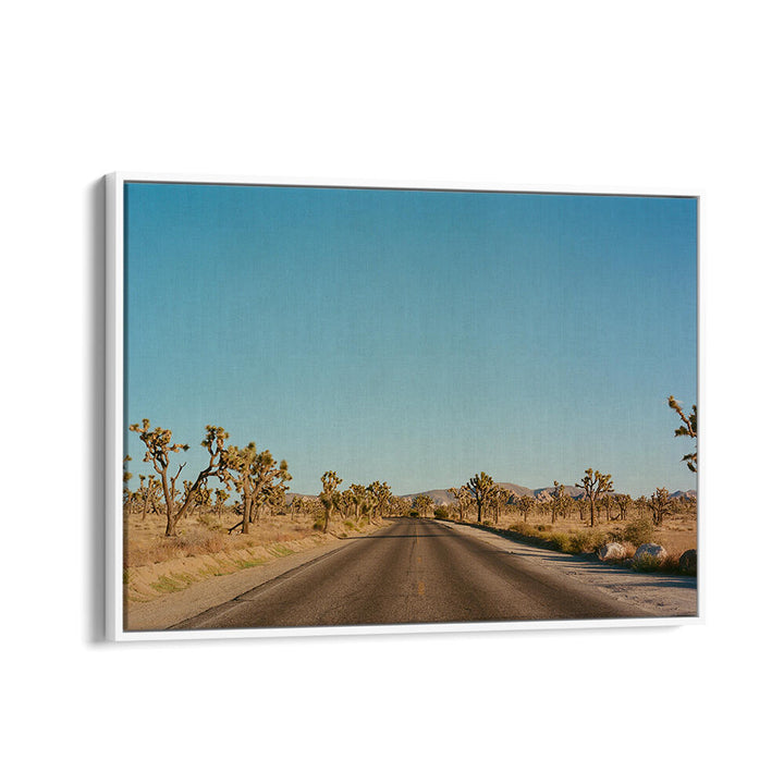 JOSHUA TREE ROAD , PHOTOGRAPHY PRINTS