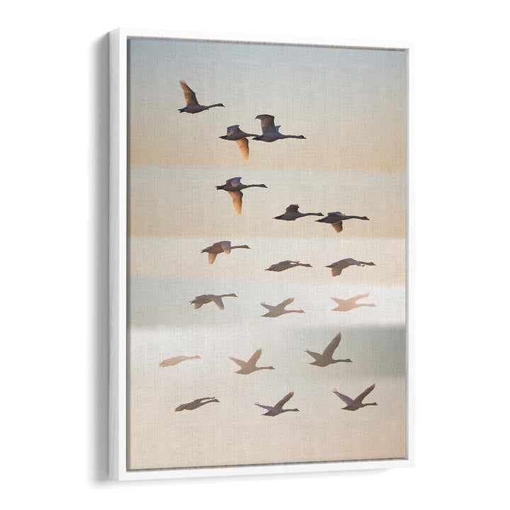 PAST THE SUN , PHOTOGRAPHY PRINTS