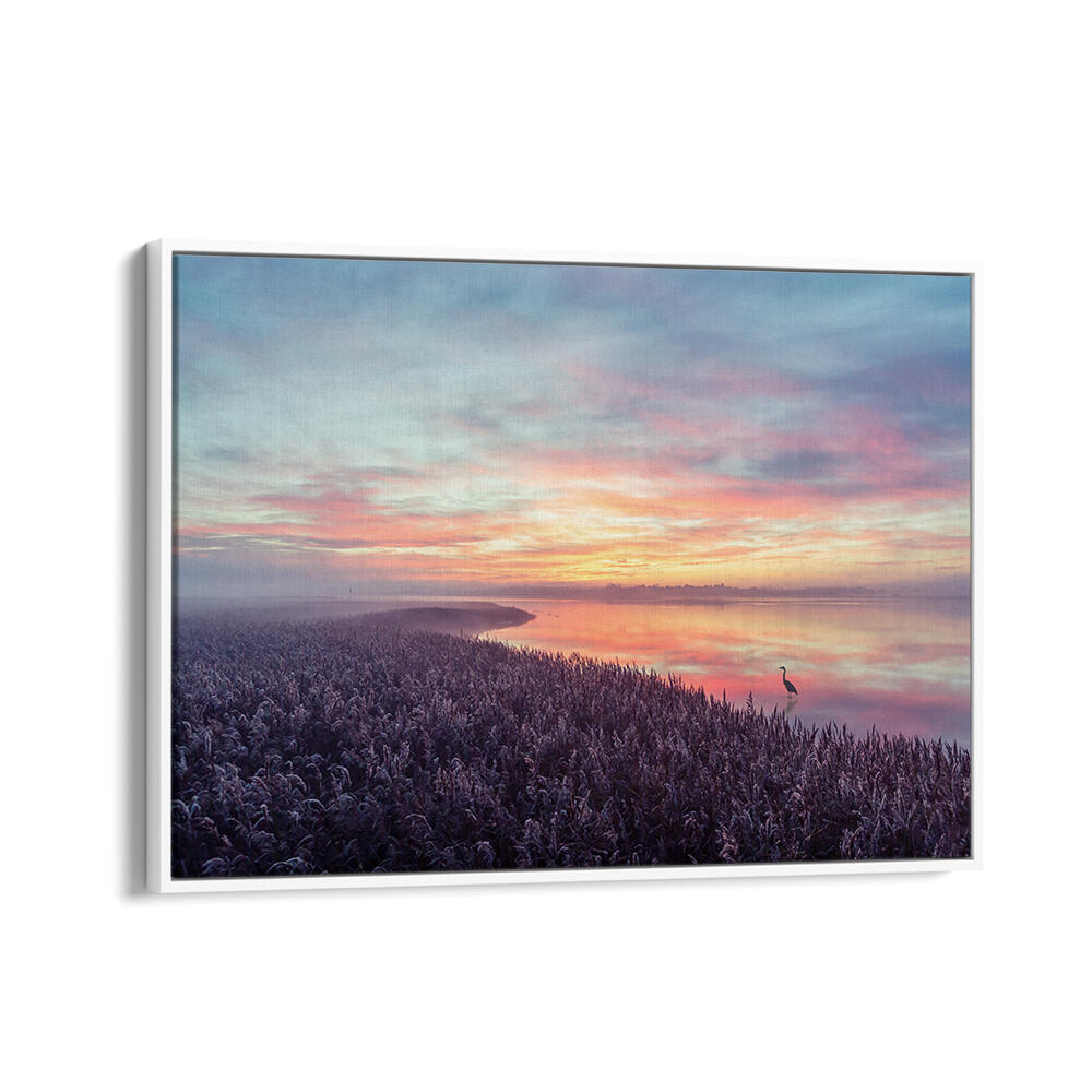 THE HERON'S MORNING VIEW , PHOTOGRAPHY PRINTS