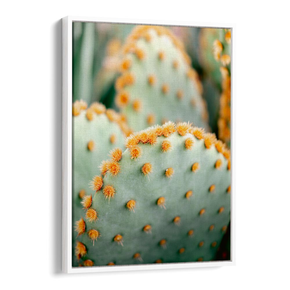 ORANGE AND GREEN II , PHOTOGRAPHY PRINTS