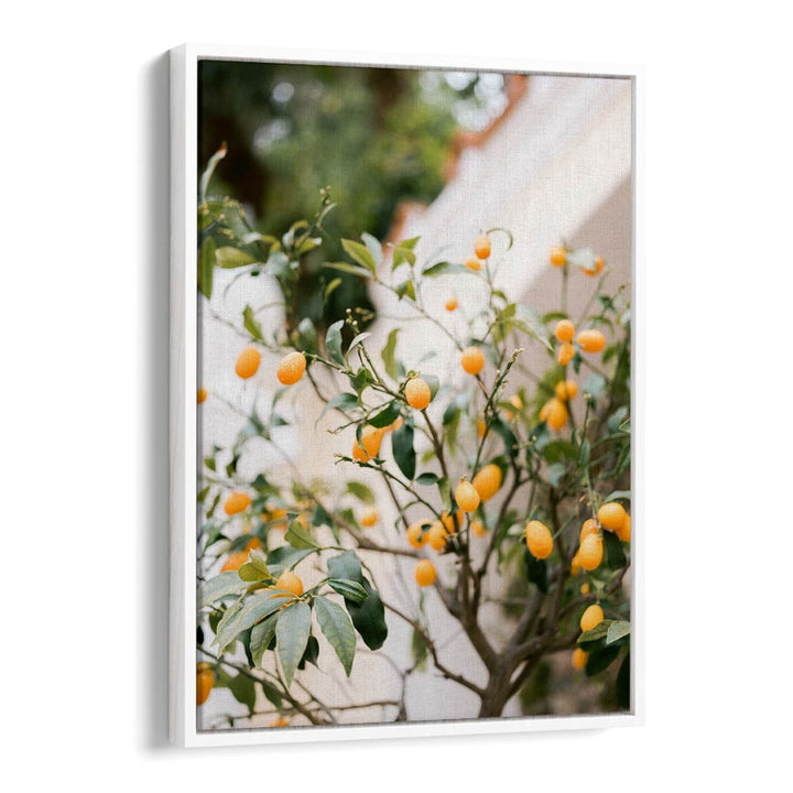 ORANGE CAPRI , PHOTOGRAPHY PRINTS