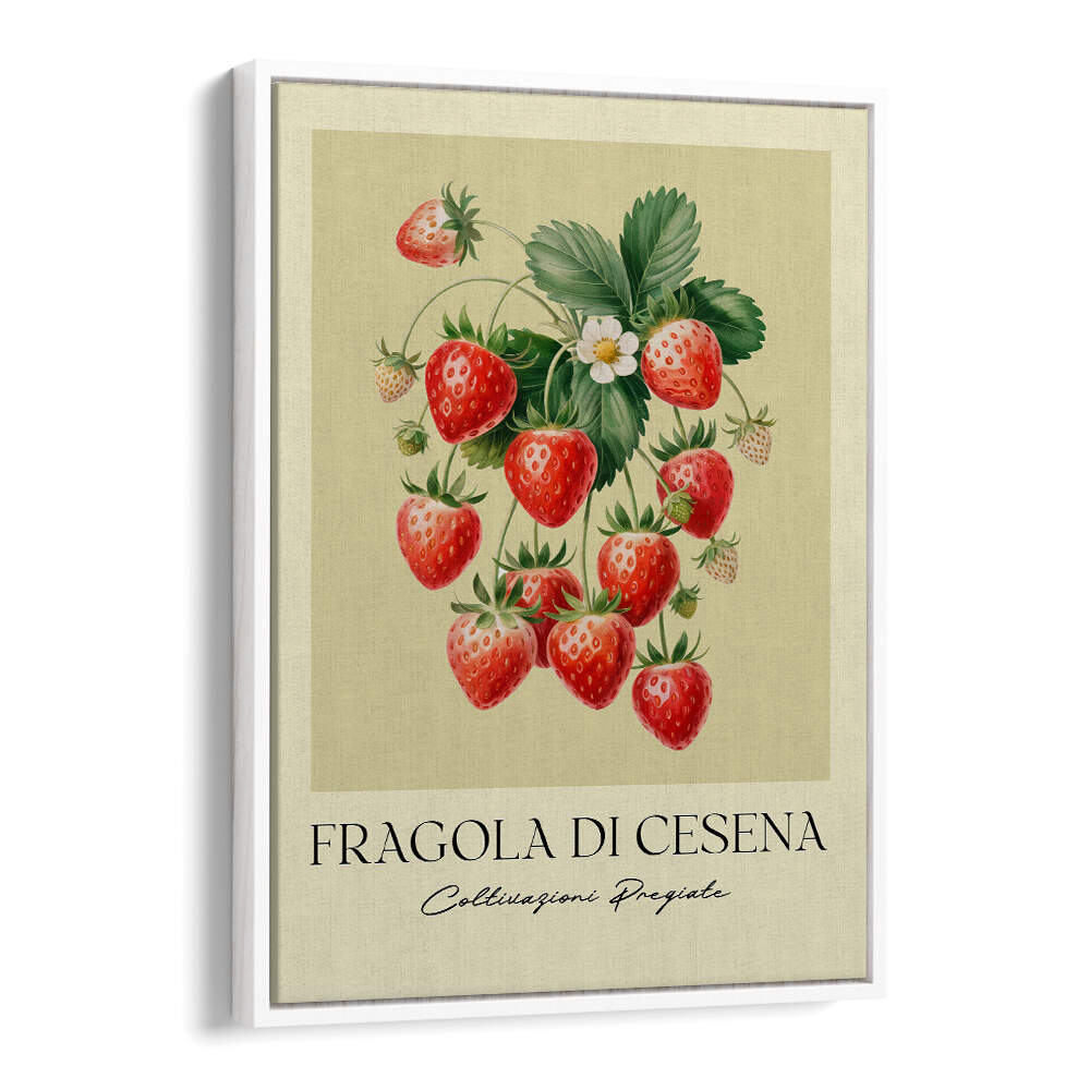 FRAGOLA DI CESENA , FLORAL FLOWER PAINTINGS