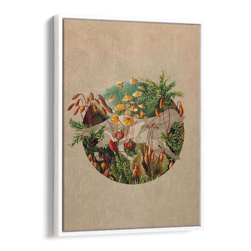 Colorful NATURE , FLORAL FLOWER PAINTINGS featuring vibrant plants in a circular design, perfect for stylish decor.