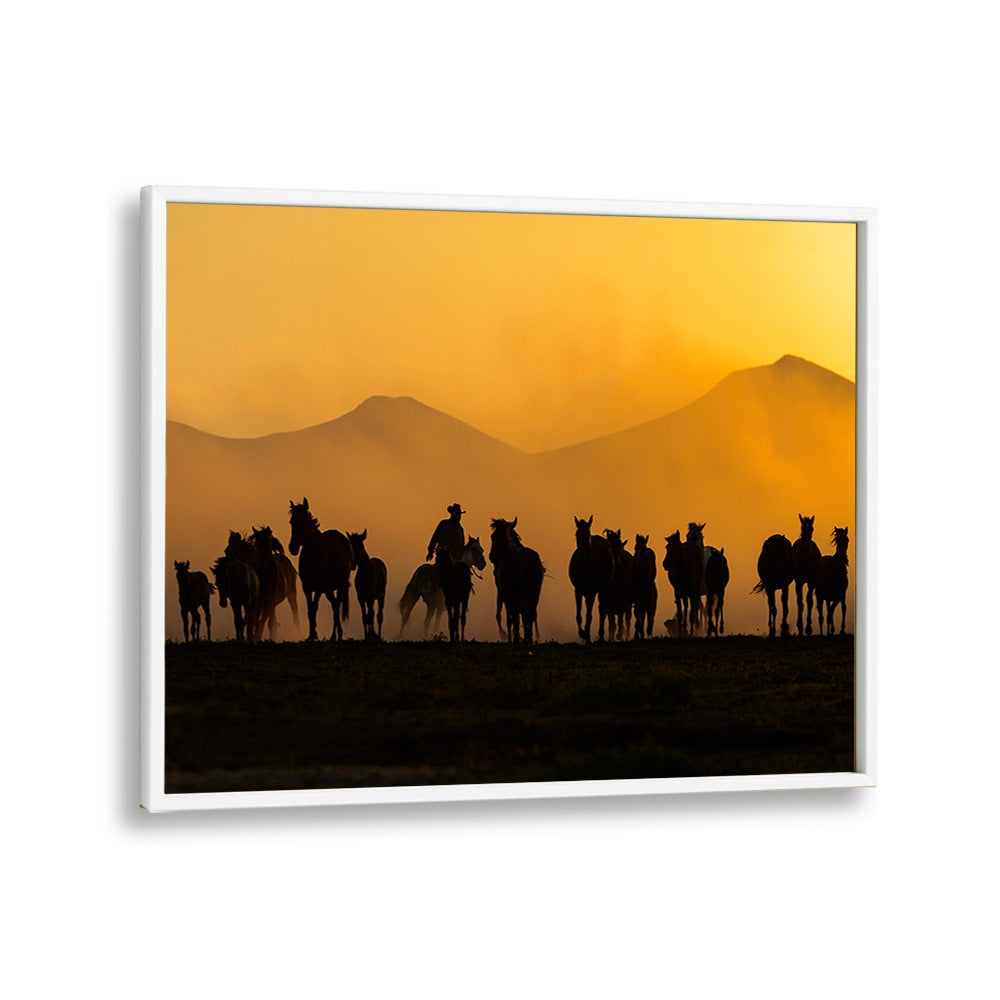 Stunning horses silhouetted at dusk in "AS THE SUN GOES DOWN, PHOTOGRAPHY PRINTS" for nature lovers.