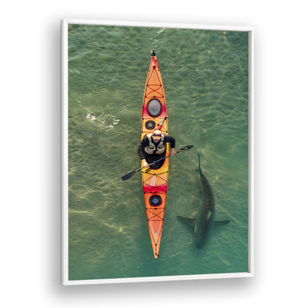 Kayaker gliding above a shark, showcasing an INTIMATE SHARK ENCOUNTER, PHOTOGRAPHY PRINTS for ocean lovers.