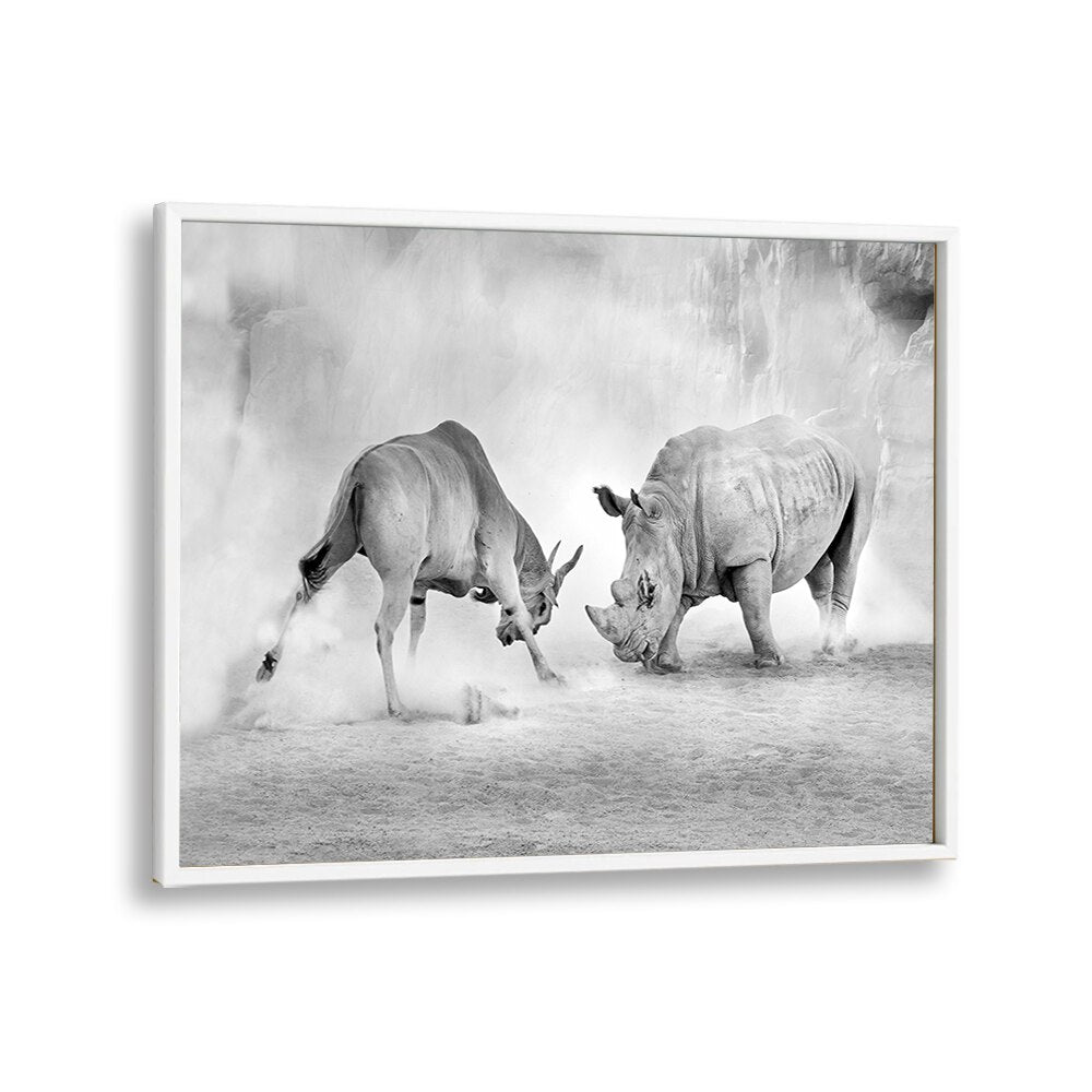 Stunning COMBAT, PHOTOGRAPHY PRINTS showcasing a dramatic encounter between wildlife in dynamic black and white art.