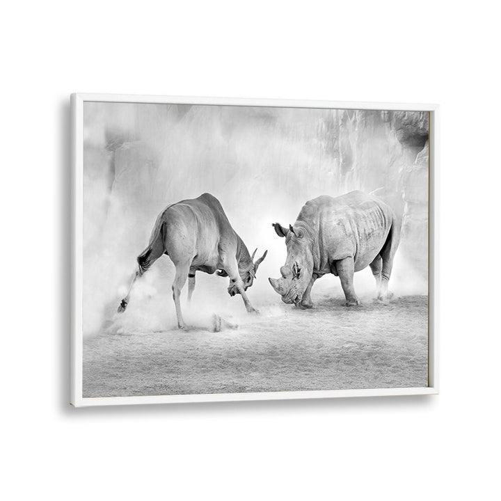 Stunning COMBAT, PHOTOGRAPHY PRINTS showcasing a dramatic encounter between wildlife in dynamic black and white art.